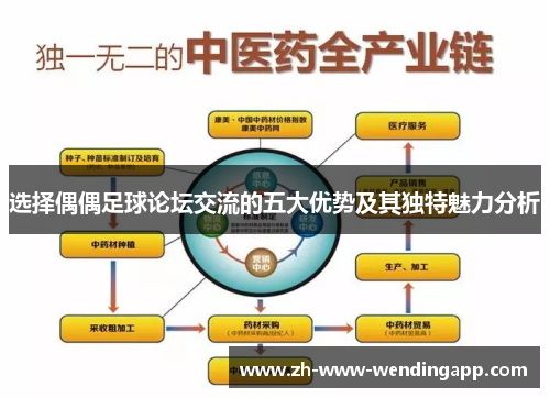 选择偶偶足球论坛交流的五大优势及其独特魅力分析
