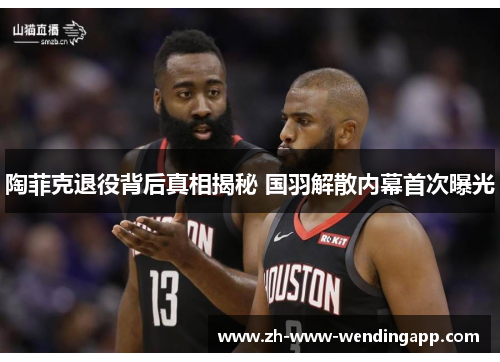 陶菲克退役背后真相揭秘 国羽解散内幕首次曝光