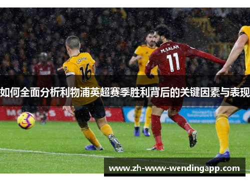 如何全面分析利物浦英超赛季胜利背后的关键因素与表现