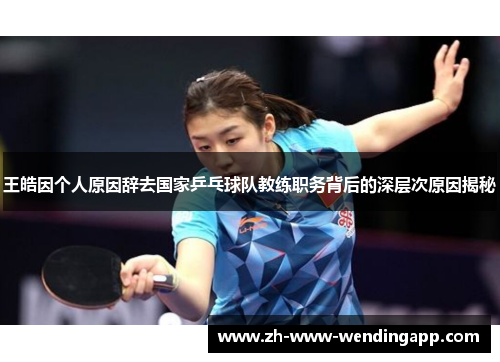 王皓因个人原因辞去国家乒乓球队教练职务背后的深层次原因揭秘