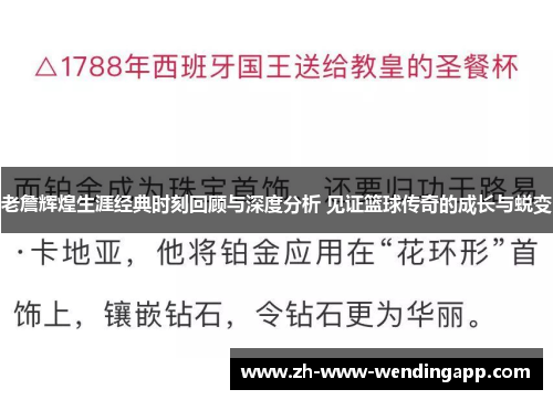 老詹辉煌生涯经典时刻回顾与深度分析 见证篮球传奇的成长与蜕变