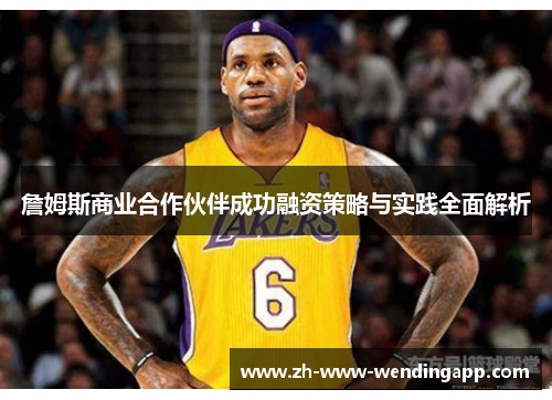 詹姆斯商业合作伙伴成功融资策略与实践全面解析