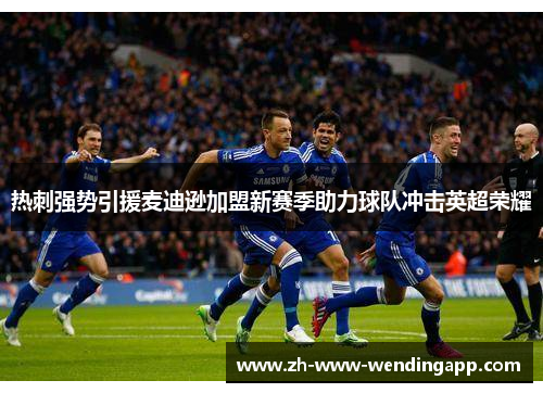 热刺强势引援麦迪逊加盟新赛季助力球队冲击英超荣耀 热刺强势引援麦迪逊加盟新赛季助力球队冲击英超荣耀