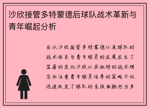 沙欣接管多特蒙德后球队战术革新与青年崛起分析 沙欣接管多特蒙德后球队战术革新与青年崛起分析